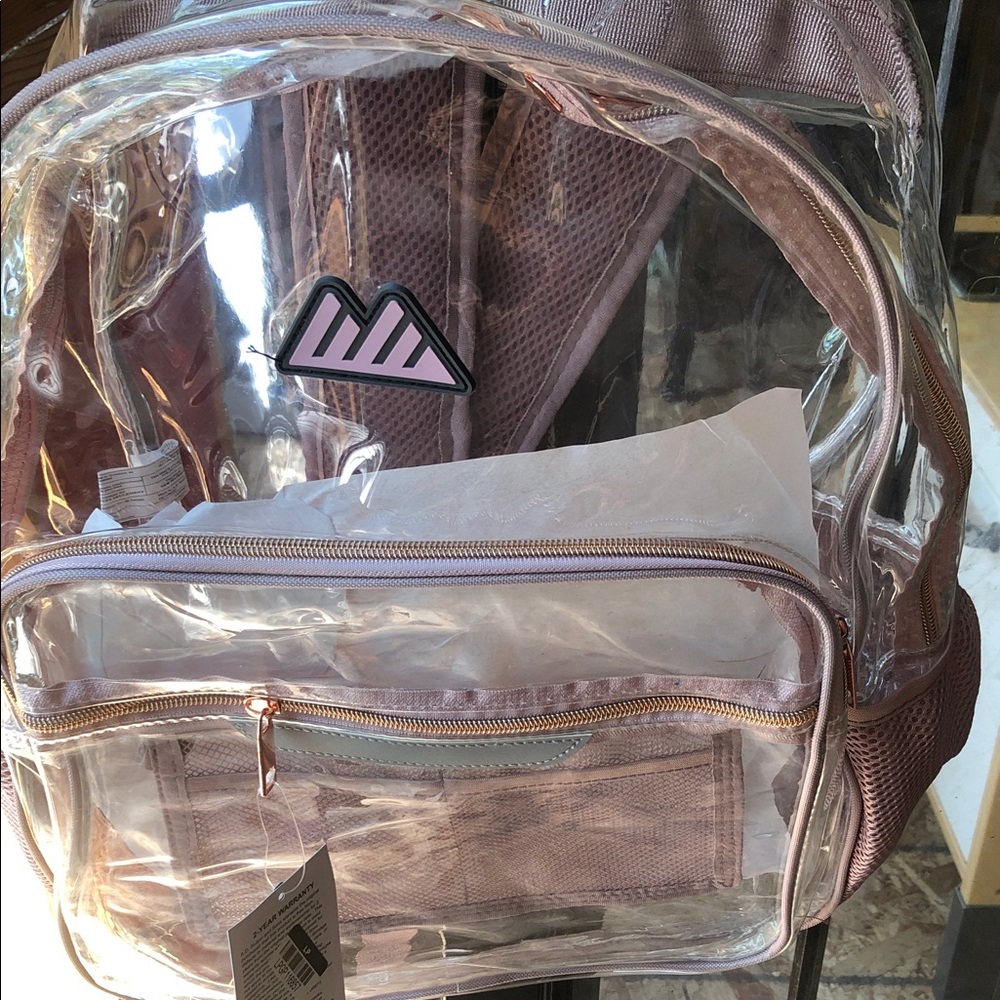 Transparent Pink Backpack